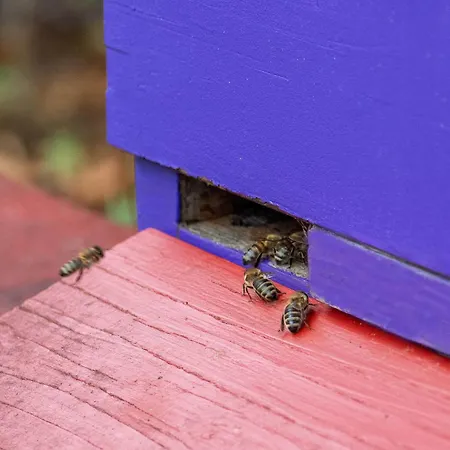 Hotel Western Premier Airporthotel Berlin 4*