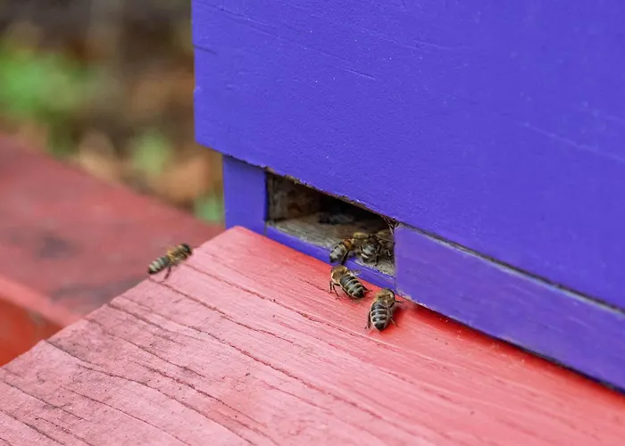 Hotel Western Premier Airporthotel Berlin 4*